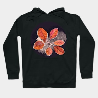 Autumn leaves pattern Hoodie